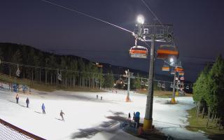 Zieleniec - Winterpol - 13-12-2025 15:39