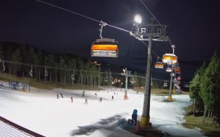 Zieleniec - Winterpol - 13-12-2025 15:46