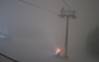 Zieleniec - Winterpol - 01-01-2026 05:26