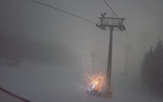 Zieleniec - Winterpol - 01-01-2026 06:09