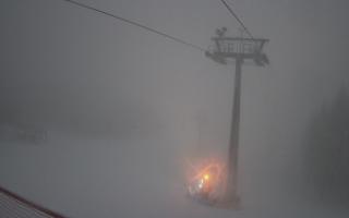 Zieleniec - Winterpol - 01-01-2026 06:16