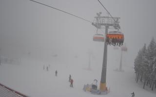 Zieleniec - Winterpol - 29-01-2026 14:22