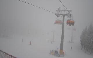 Zieleniec - Winterpol - 29-01-2026 14:29