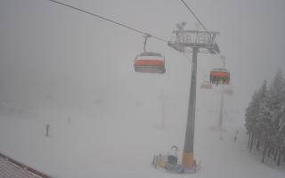 Zieleniec - Winterpol - 29-01-2026 14:43