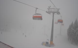 Zieleniec - Winterpol - 29-01-2026 14:50