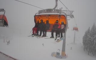 Zieleniec - Winterpol - 29-01-2026 14:57