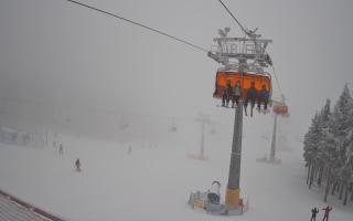 Zieleniec - Winterpol - 29-01-2026 15:11