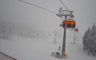 Zieleniec - Winterpol - 29-01-2026 15:18