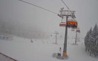 Zieleniec - Winterpol - 29-01-2026 15:25