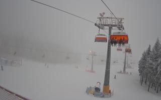 Zieleniec - Winterpol - 29-01-2026 15:32