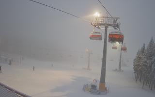 Zieleniec - Winterpol - 29-01-2026 15:39