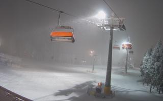 Zieleniec - Winterpol - 29-01-2026 16:22