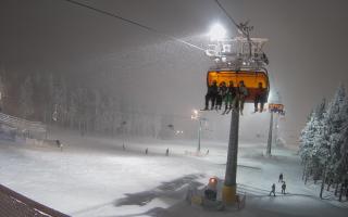 Zieleniec - Winterpol - 29-01-2026 16:29