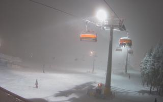 Zieleniec - Winterpol - 29-01-2026 16:57