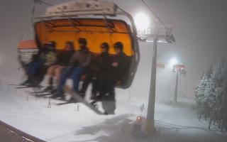 Zieleniec - Winterpol - 29-01-2026 17:04