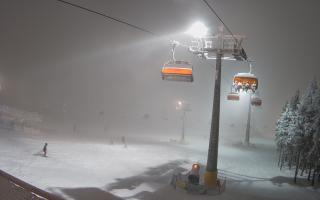 Zieleniec - Winterpol - 29-01-2026 17:18