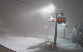 Zieleniec - Winterpol - 29-01-2026 17:46