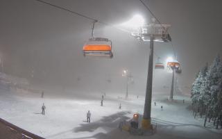 Zieleniec - Winterpol - 29-01-2026 17:53