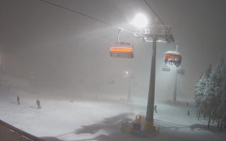 Zieleniec - Winterpol - 29-01-2026 18:07