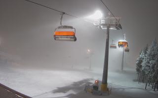 Zieleniec - Winterpol - 29-01-2026 18:28