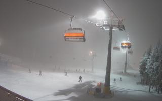 Zieleniec - Winterpol - 29-01-2026 18:35