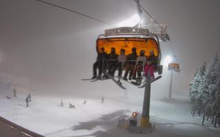 Zieleniec - Winterpol - 29-01-2026 18:42