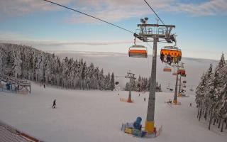 Zieleniec - Winterpol - 01-02-2026 13:48