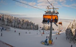 Zieleniec - Winterpol - 01-02-2026 14:02