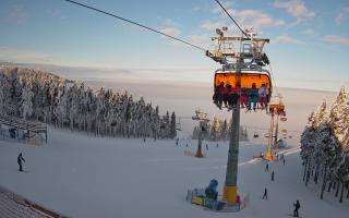 Zieleniec - Winterpol - 01-02-2026 14:09