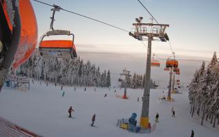 Zieleniec - Winterpol - 01-02-2026 14:23