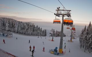 Zieleniec - Winterpol - 01-02-2026 14:30