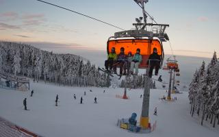 Zieleniec - Winterpol - 01-02-2026 15:12