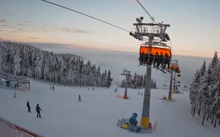 Zieleniec - Winterpol - 01-02-2026 15:19