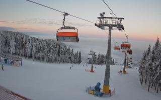 Zieleniec - Winterpol - 01-02-2026 15:33