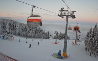 Zieleniec - Winterpol - 01-02-2026 15:40