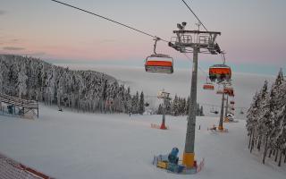 Zieleniec - Winterpol - 01-02-2026 15:54