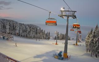 Zieleniec - Winterpol - 01-02-2026 16:01