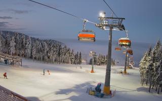 Zieleniec - Winterpol - 01-02-2026 16:09