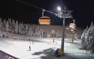 Zieleniec - Winterpol - 01-02-2026 16:51