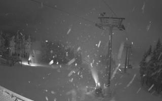 Zieleniec - Winterpol - 02-02-2026 02:21