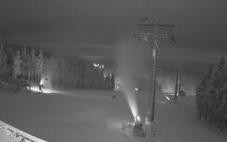 Zieleniec - Winterpol - 02-02-2026 02:42