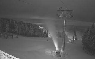 Zieleniec - Winterpol - 02-02-2026 03:03