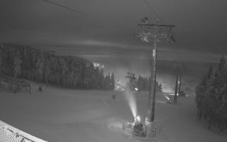 Zieleniec - Winterpol - 02-02-2026 03:10