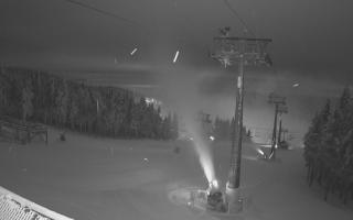 Zieleniec - Winterpol - 02-02-2026 03:17