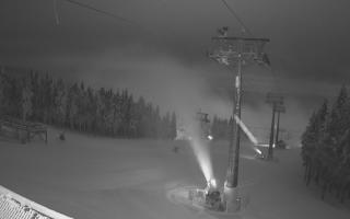 Zieleniec - Winterpol - 02-02-2026 03:24