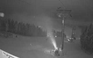 Zieleniec - Winterpol - 02-02-2026 03:31