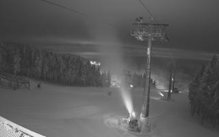 Zieleniec - Winterpol - 02-02-2026 03:45