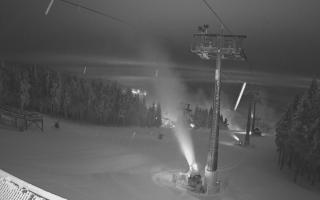 Zieleniec - Winterpol - 02-02-2026 03:52