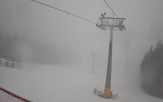 Zieleniec - Winterpol - 16-03-2026 07:08