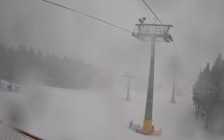 Zieleniec - Winterpol - 16-03-2026 08:26